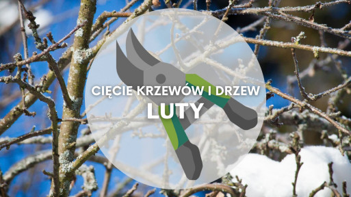 Co ciąć w lutym? | Przycinanie drzew i krzewów