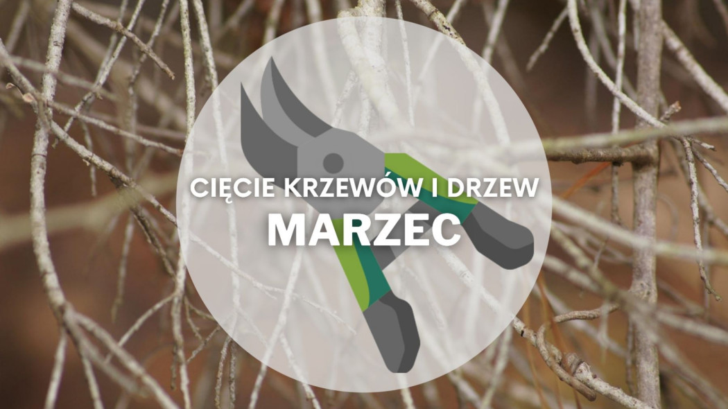 Co ciac w marcu Przycinanie drzew i krzewow, fot. Mary Brotherton