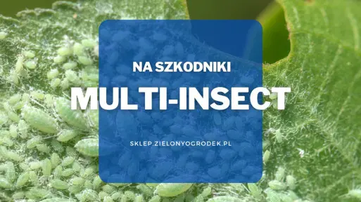 Multi-insekt – naturalny preparat w sprayu na szkodniki domowe i balkonowe