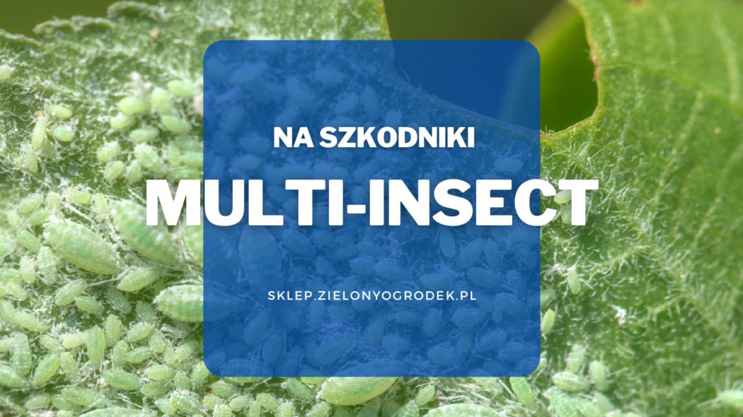 Multi-insekt naturalny preparat w sprayu na szkodniki