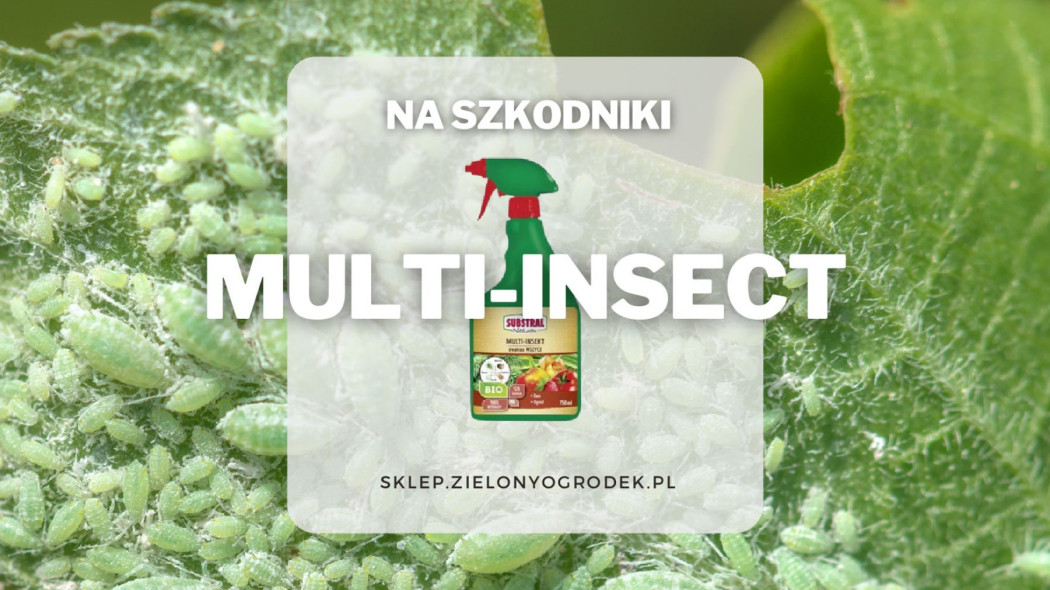 Multi-insekt naturalny preparat w sprayu na szkodniki