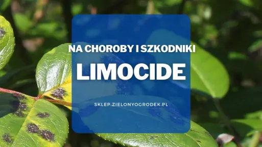 Limocide – olejek pomarańczowy do ochrony roślin