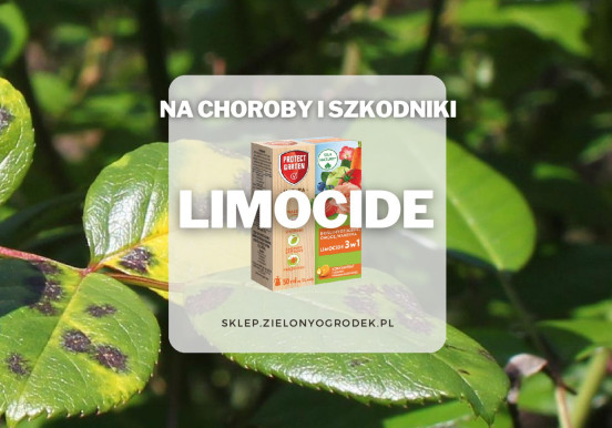 Limocide – olejek pomarańczowy do ochrony roślin