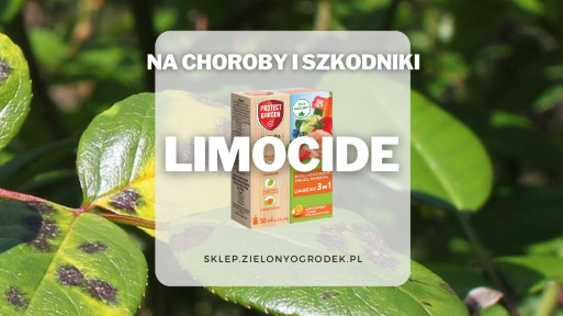 Limocide – olejek pomarańczowy do ochrony roślin