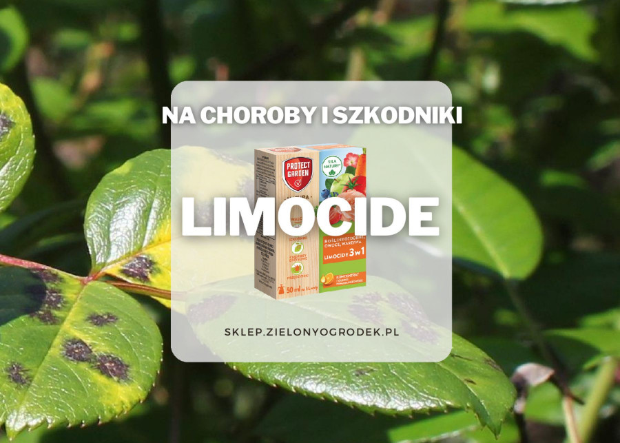 Limocide – olejek pomaranczowy do ochrony roslin