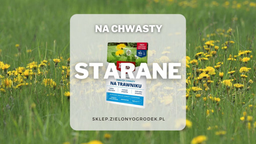 Starane – herbicyd zwalczający chwasty na trawniku, bezpieczny dla trawy!!