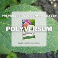 Polyversum – biologiczna ochrona roślin przed chorobami grzybowymi