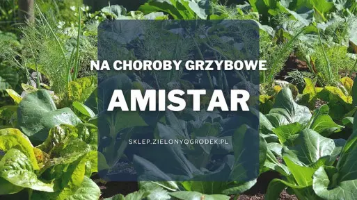 Amistar – skuteczne zwalczanie chorób grzybowych warzyw i owoców