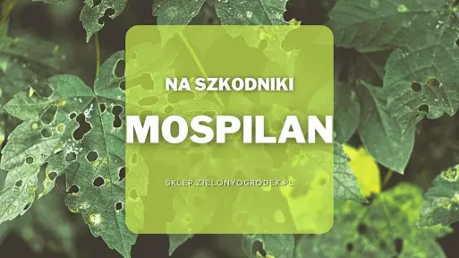 Mospilan – uniwersalny preparat na szkodniki w ogrodzie
