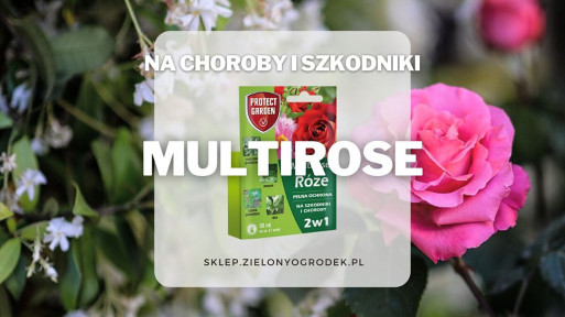 Multirose – preparat na choroby i szkodniki róż i roślin ozdobnych