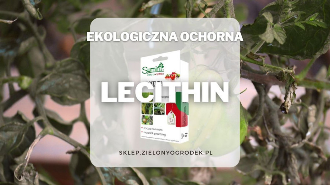 Lecithin ekologiczny srodek na choroby grzybowe