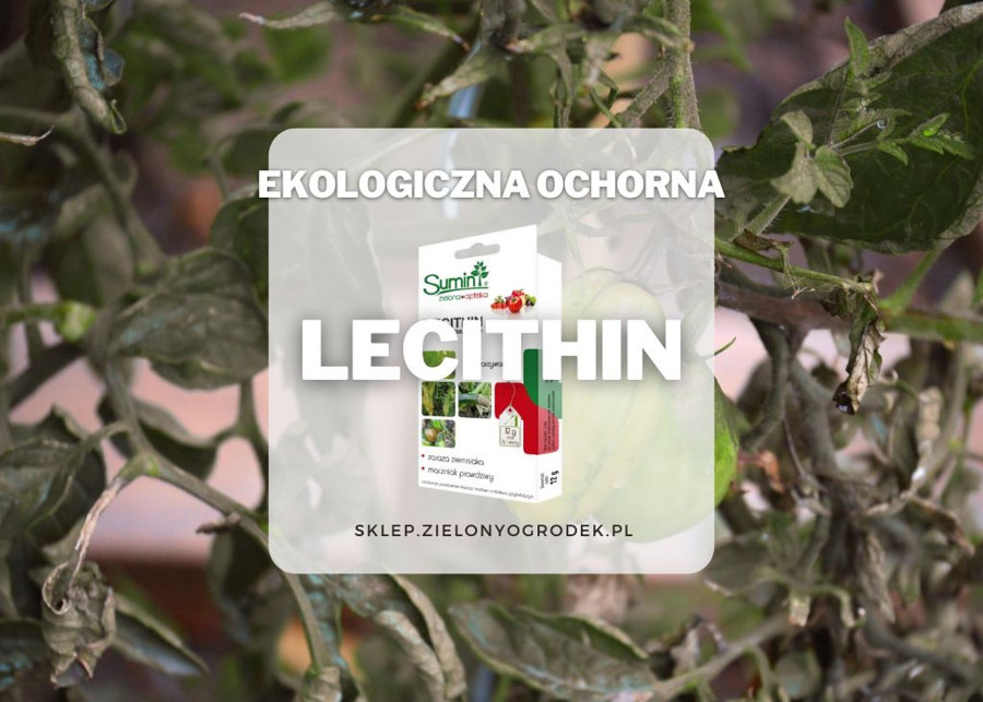 Lecithin ekologiczny srodek na choroby grzybowe