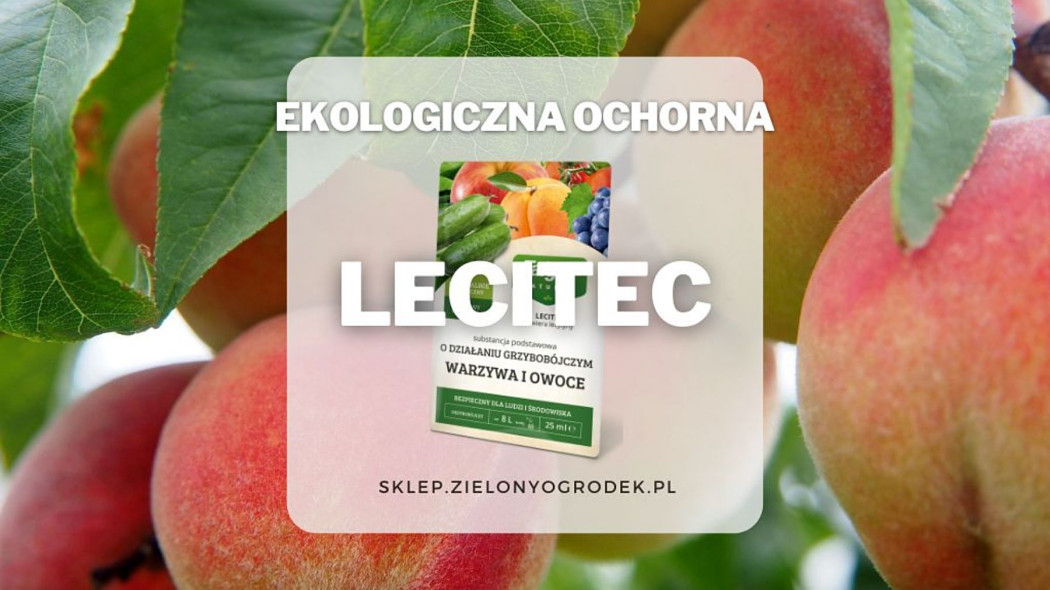 Lecitec ekologiczny preparat na choroby grzybowe