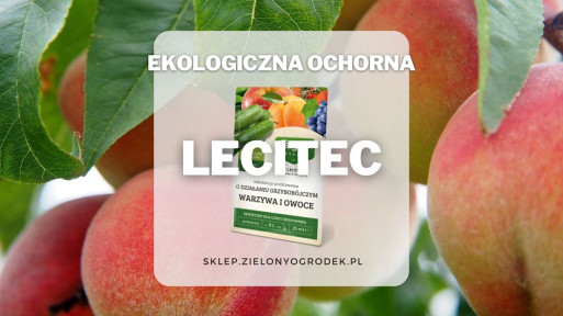 Lecitec – ekologiczny preparat na choroby grzybowe