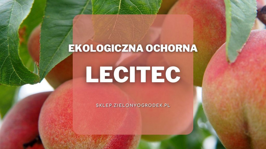 Lecitec ekologiczny preparat na choroby grzybowe