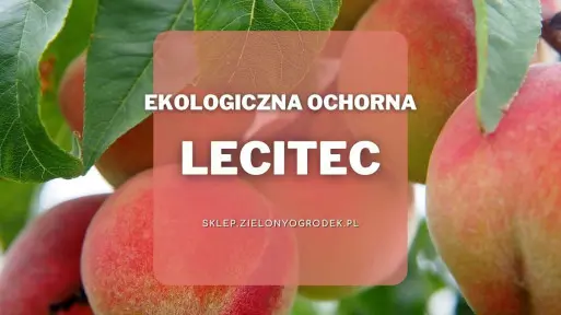 Lecitec – ekologiczny preparat na choroby grzybowe