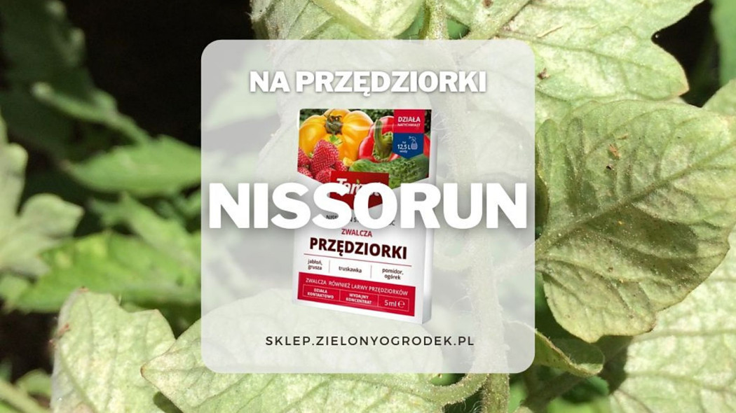 Nissorun Strong na przedziorki w ogrodzie