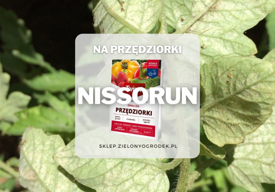 Nissorun Strong – preparat do zwalczania...