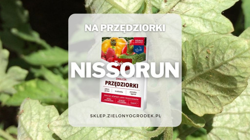 Nissorun Strong – preparat do zwalczania przędziorków