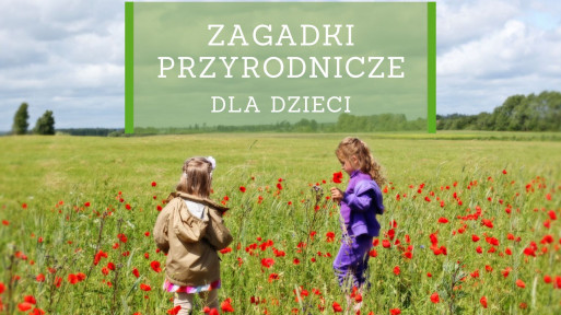 50 zagadek przyrodniczych dla dzieci | Nauka przez zabawę