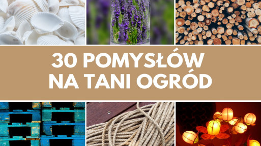 30 pomysłów na tani ogród | Galeria inspiracji