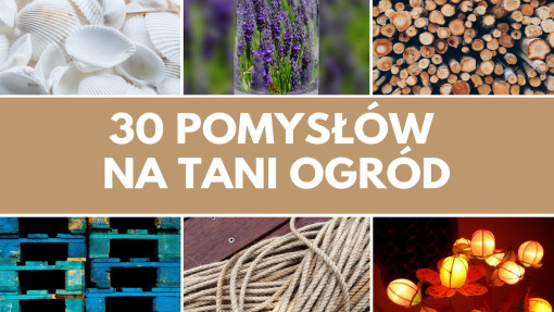 30 pomysłów na tani ogród | Galeria inspiracji