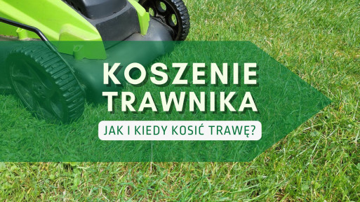 Koszenie trawnika | Jak i kiedy kosić trawę? Wyjaśniamy!