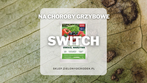 Switch – preparat grzybobójczy o szerokim zakresie działania