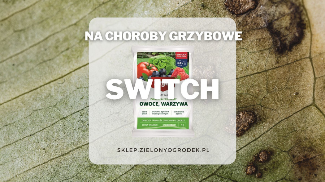 Switch preparat grzybobojczy o szerokim zakresie dzialania