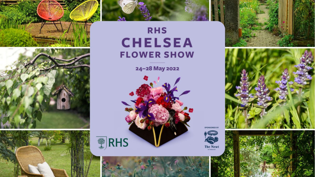 Trendy z Chelsea Flower Show 2022 