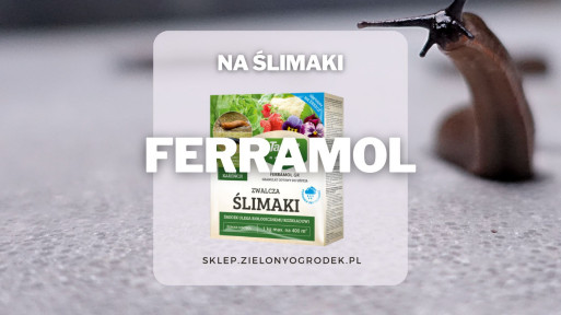 Ferramol – pogromca ślimaków