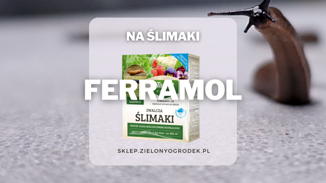 Ferramol pogromca slimakow