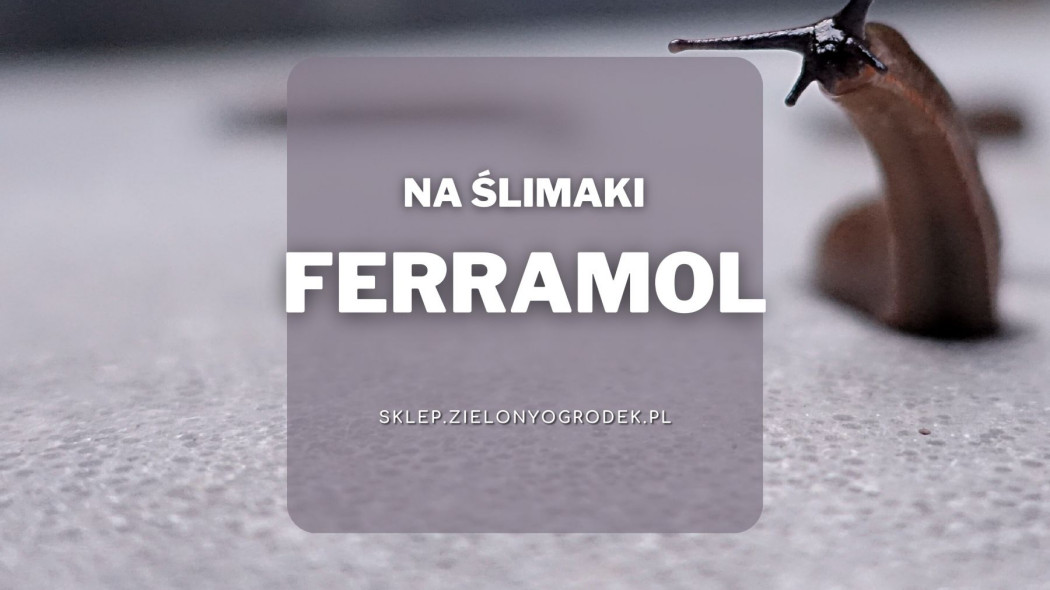 Ferramol pogromca slimakow