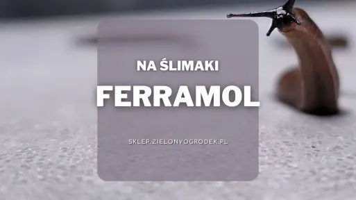 Ferramol – pogromca ślimaków