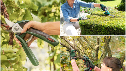 Przydomowy ogród – pielęgnacja