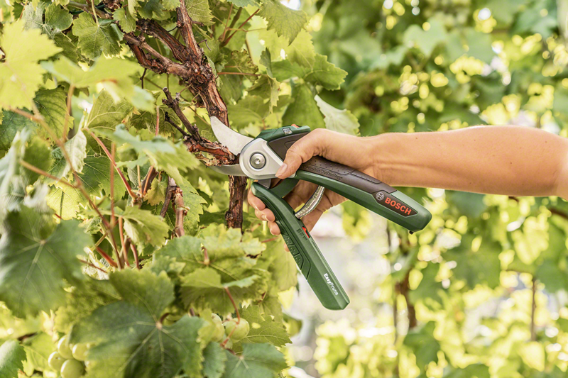 sekator do gałęzi Bosch EasyPrune