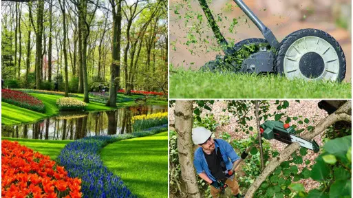 TOP 7 elektronarzędzi dla ogrodnika