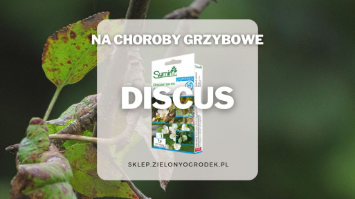 Discus – skuteczny preparat na choroby grzybowe