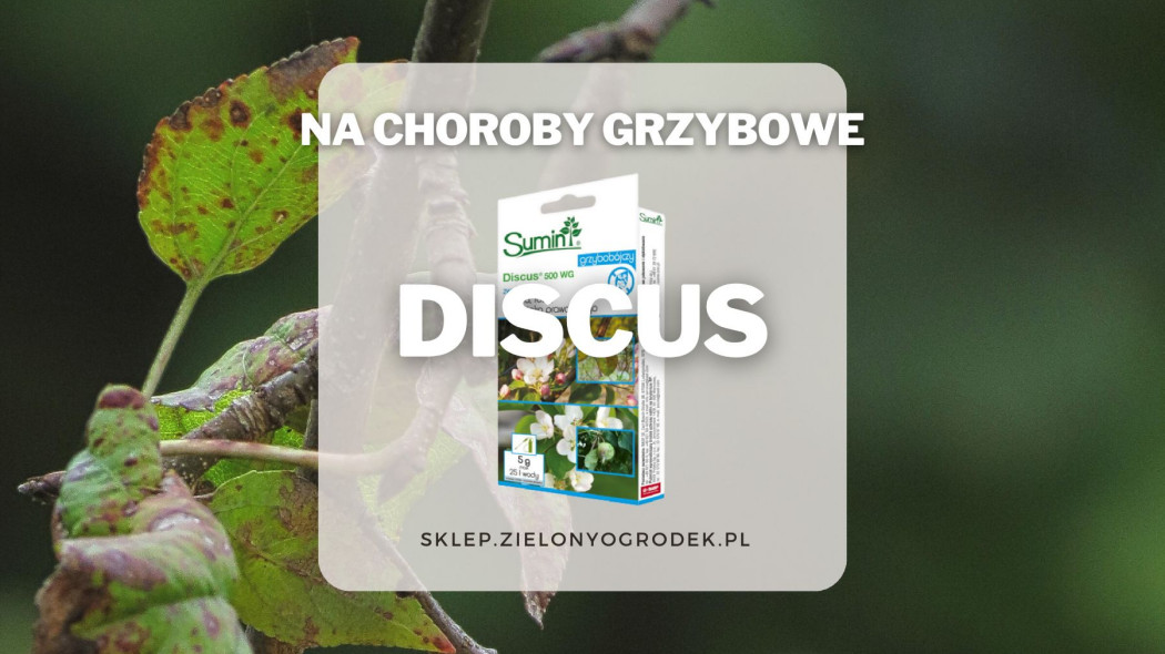 Discus skuteczny preparat na choroby grzybowe