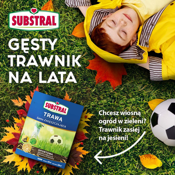 Trawa samozagęszczająca SUBSTRAL SPORTOWA