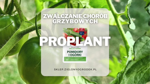 Proplant – zwalcza i zapobiega chorobom grzybowym