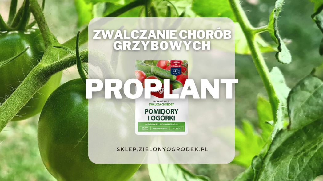 Proplant zwalcza i zapobiega chorobom grzybowym