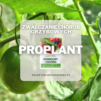 Proplant – zwalcza i zapobiega chorobom grzybowym