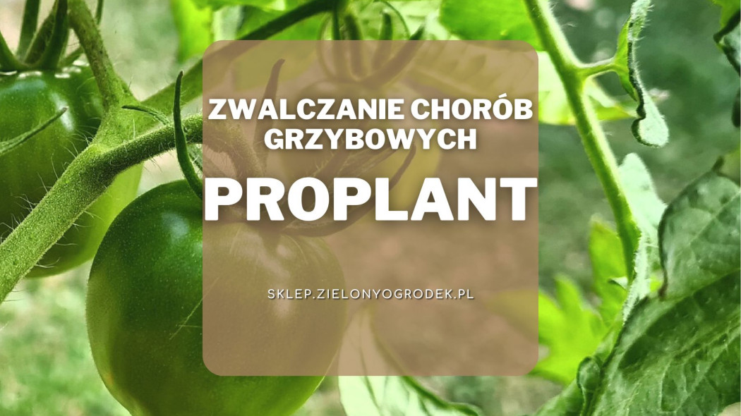 Proplant zwalcza i zapobiega chorobom grzybowym