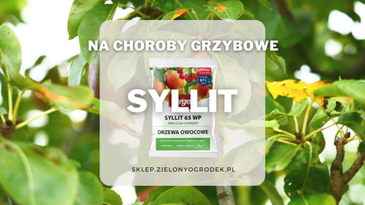 Syllit – ochrona drzew owocowych