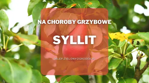 Syllit – ochrona drzew owocowych