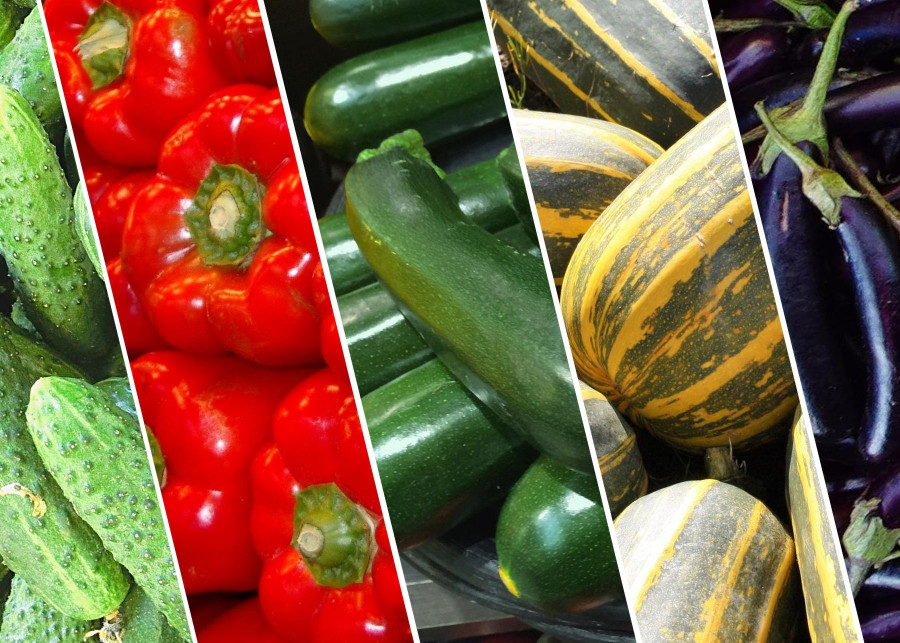 5 warzyw ktorych nie moze zabraknac w letnich daniach