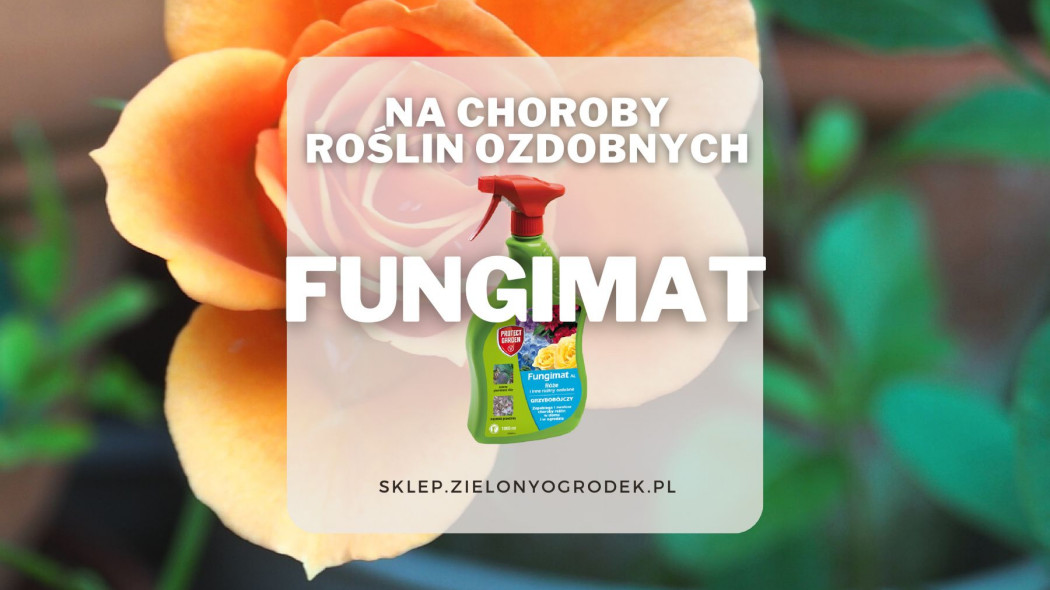 Fungimat srodek grzybobojczy do ochrony roslin ozdobnych