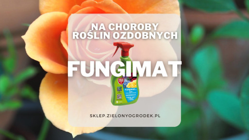 Fungimat – środek grzybobójczy do ochrony roślin ozdobnych