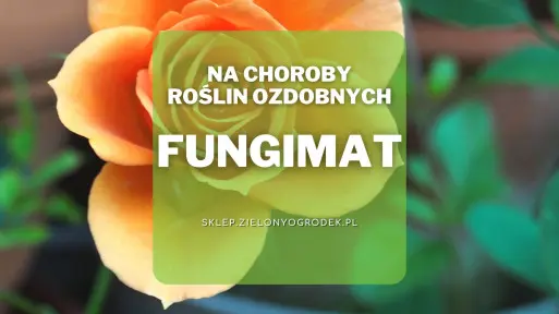 Fungimat – środek grzybobójczy do ochrony roślin ozdobnych